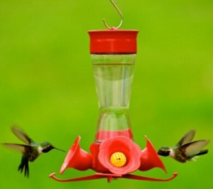 Perky-Pet 203CPBN Pinch Waist Glass Hummingbird Feeder with Free Nectar
