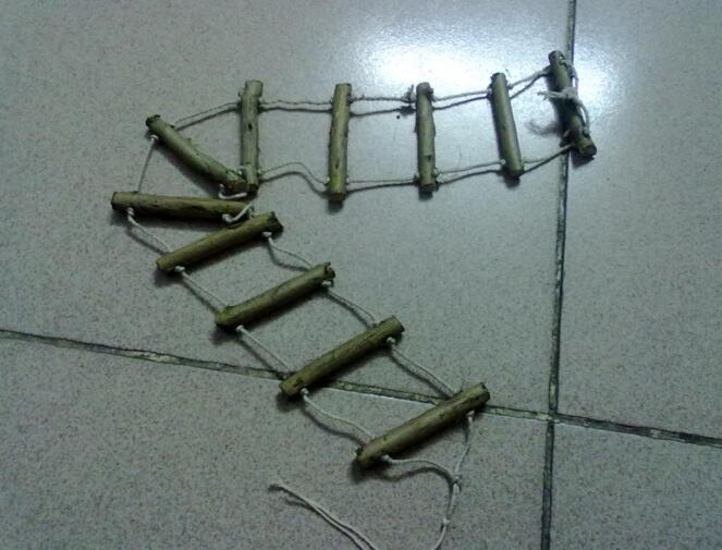 DIY a parrot ladder toy Care Birds